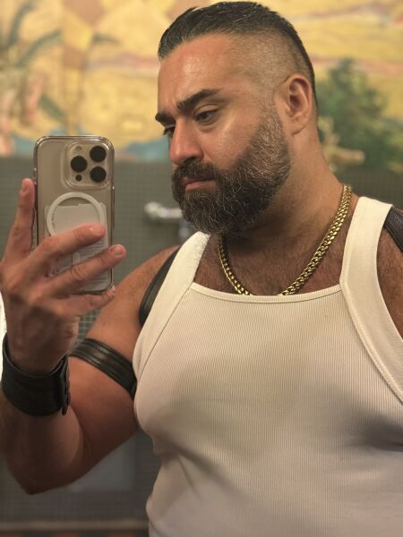 Bearinthecity