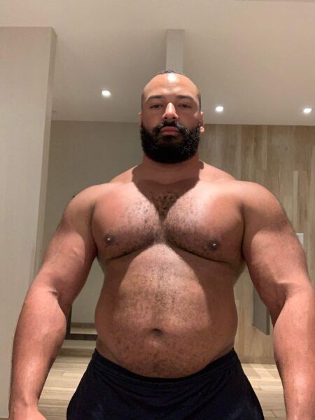GorillaGutStud
