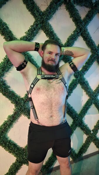DFWBearCub